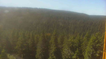 Snímek    1.7.2025 v 09:30
