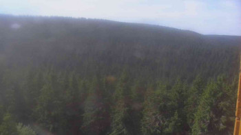Snímek    3.7.2025 v 09:00