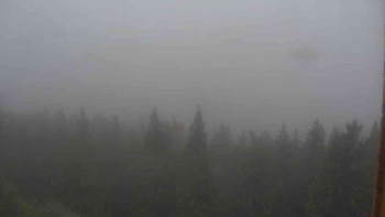 Snímek    7.7.2025 v 08:00