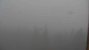 Snímek    12.7.2025 v 08:00