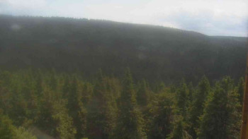 Snímek    16.7.2025 v 14:00
