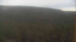 Vysoké hole