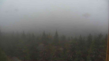 Snímek    16.10.2025 v 14:00