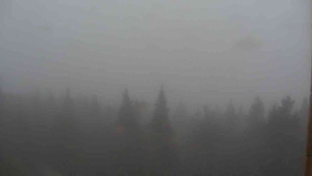 Snímek    17.10.2025 v 09:00