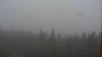 Snímek    17.10.2025 v 14:00