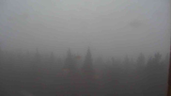Snímek    21.10.2025 v 12:30