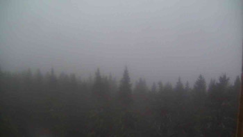 Snímek    24.10.2025 v 07:30