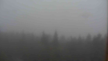 Snímek    24.10.2025 v 09:00