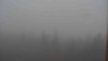 Snímek    24.10.2025 v 11:00