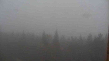 Snímek    24.10.2025 v 12:30