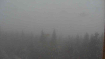 Snímek    25.10.2025 v 08:00