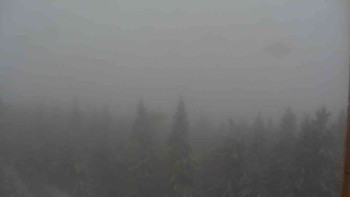 Snímek    25.10.2025 v 09:00