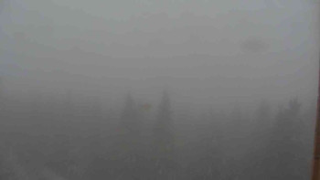 Snímek    25.10.2025 v 10:00