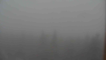 Snímek    25.10.2025 v 15:00