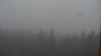 Snímek    26.10.2025 v 08:00