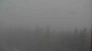 Snímek    27.10.2025 v 08:30