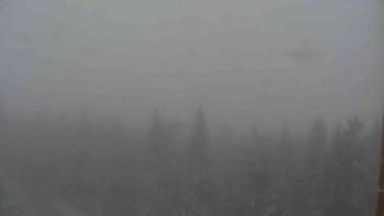 Snímek    27.10.2025 v 10:00