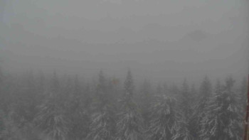 Snímek    27.10.2025 v 15:00