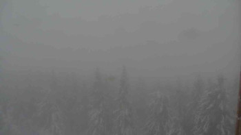 Snímek    28.10.2025 v 14:30