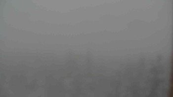 Snímek    28.10.2025 v 15:00