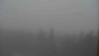 Snímek    29.10.2025 v 09:00