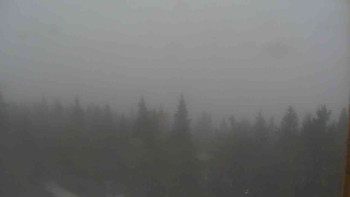 Snímek    29.10.2025 v 10:00