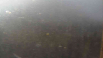 Snímek    30.10.2025 v 09:00