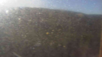 Snímek    31.10.2025 v 09:00