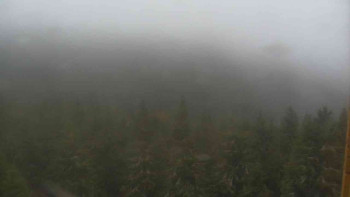 Snímek    3.11.2025 v 09:30