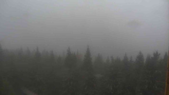 Snímek    3.11.2025 v 11:00