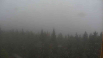 Snímek    3.11.2025 v 12:30