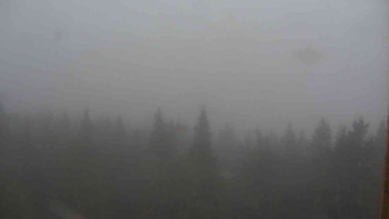 Snímek    3.11.2025 v 15:30