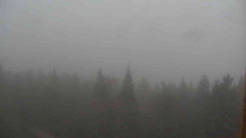 Snímek    3.11.2025 v 16:00