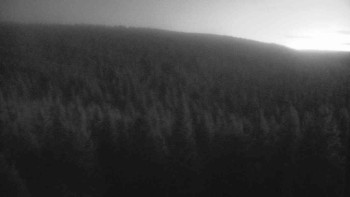 Snímek    4.11.2025 v 17:00