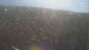 Snímek 5.11.2025 v 11:30