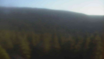 Snímek 6.11.2025 v 14:30