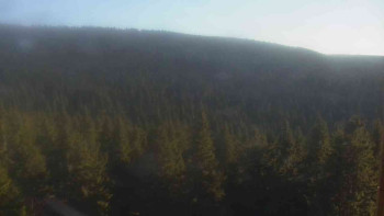 Snímek 6.11.2025 v 15:00