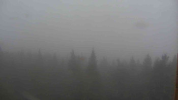 Snímek    9.11.2025 v 09:30