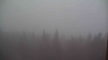 Snímek 17.11.2025 v 07:00