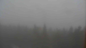 Sporthotel Kurzovní - Vysoké hole - 7.12.2025 v 11:00