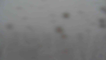 Sporthotel Kurzovní