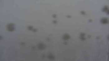 Sporthotel Kurzovní