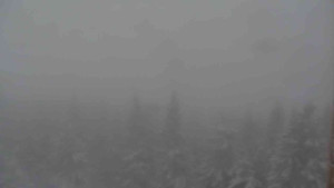 Sporthotel Kurzovní - Vysoké hole - 1.1.2026 v 08:30