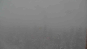 Sporthotel Kurzovní