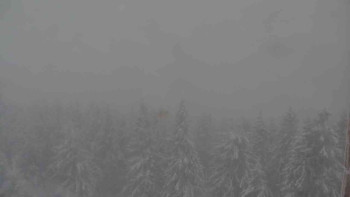 Sporthotel Kurzovní