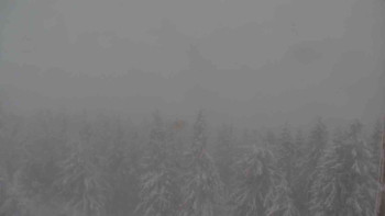 Sporthotel Kurzovní