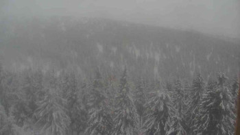 Sporthotel Kurzovní