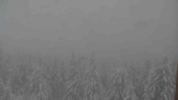 Sporthotel Kurzovní