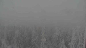 Sporthotel Kurzovní - Vysoké hole - 31.1.2026 v 07:30