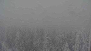 Sporthotel Kurzovní - Vysoké hole - 31.1.2026 v 08:30